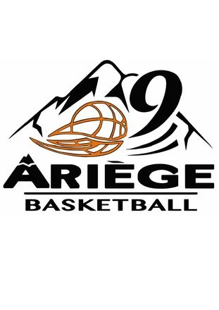 COMITE DE L'ARIEGE DE BASKET-BALL