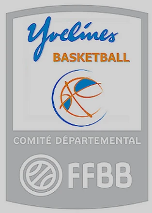 COMITE DES YVELINES DE BASKET-BALL